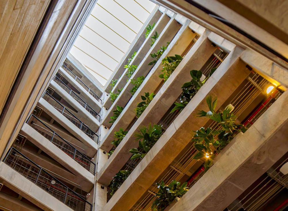 Cytrico Hotel Laureles Estadio Меделин Екстериор снимка